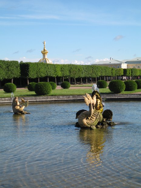 IMG_8479Peterhof