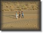 IMG_2200 * 861 x 646 * (72KB)