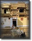 Jaisalmer rue calme * 591 x 788 * (106KB)