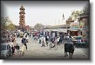 Jodhpur 1 rue * 600 x 400 * (183KB)